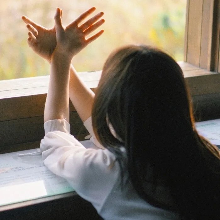 爱上华尔街之狼